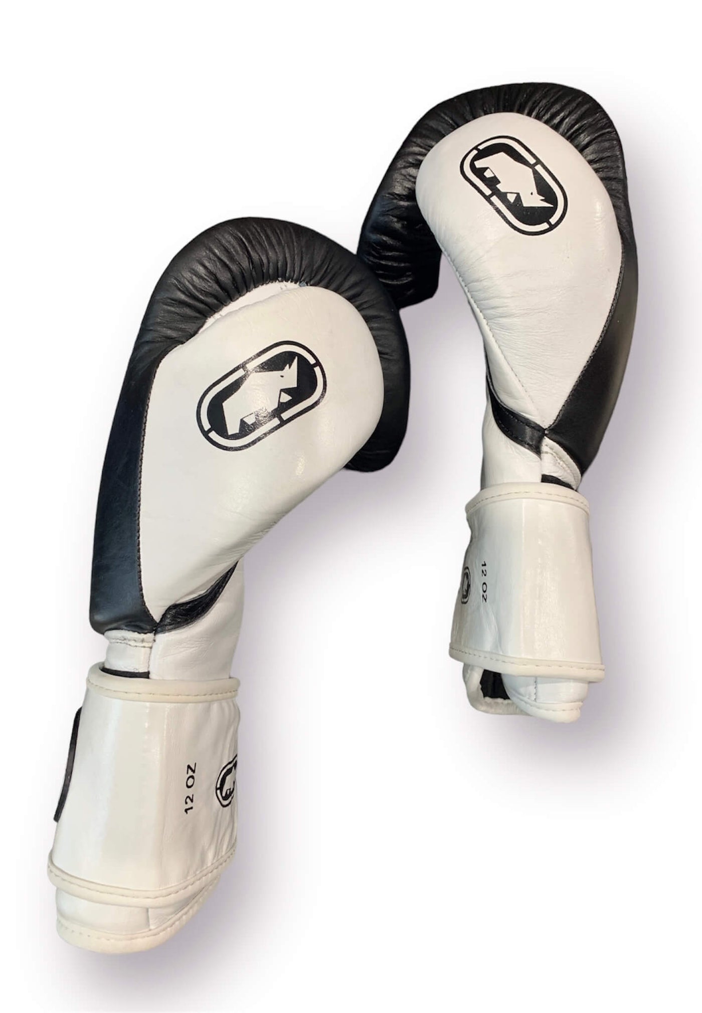 Rhino Boxing Gloves with Velcro