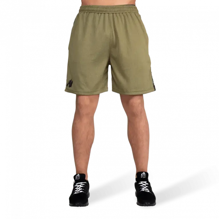 Gorilla Wear Reydon mesh shorts