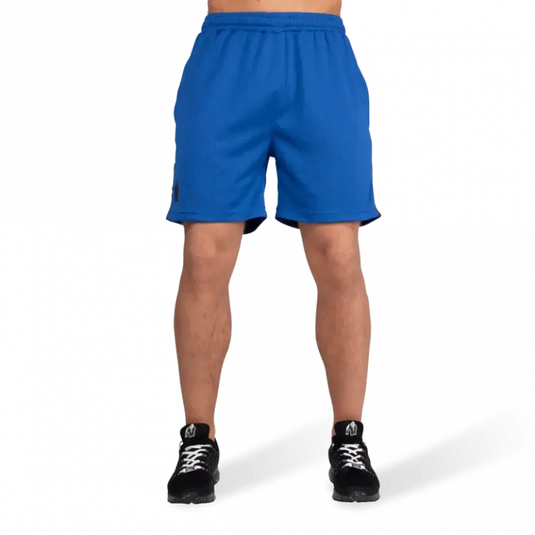 Gorilla Wear Reydon mesh shorts